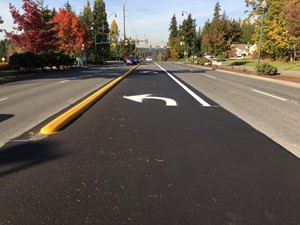 extended turn lane with curb protection